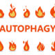 autophugy