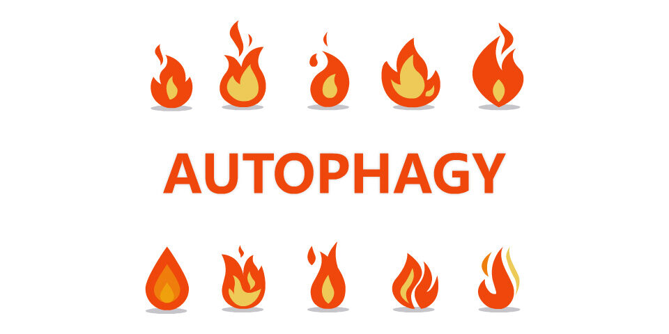 autophugy