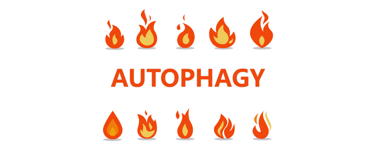 autophugy