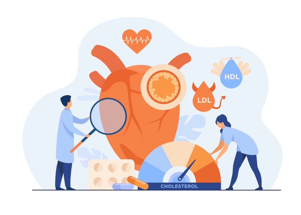 Intermittent Fasting and Cholesterol: Does Fasting Raise LDL?